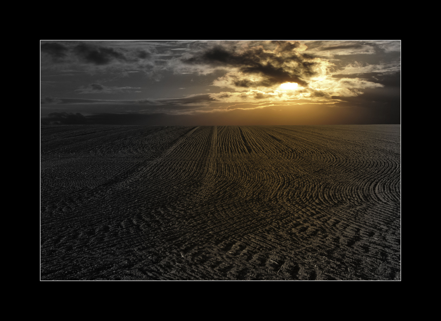 Sunfield Foto & Bild monatswettbewerbe spezial, 2019, 09