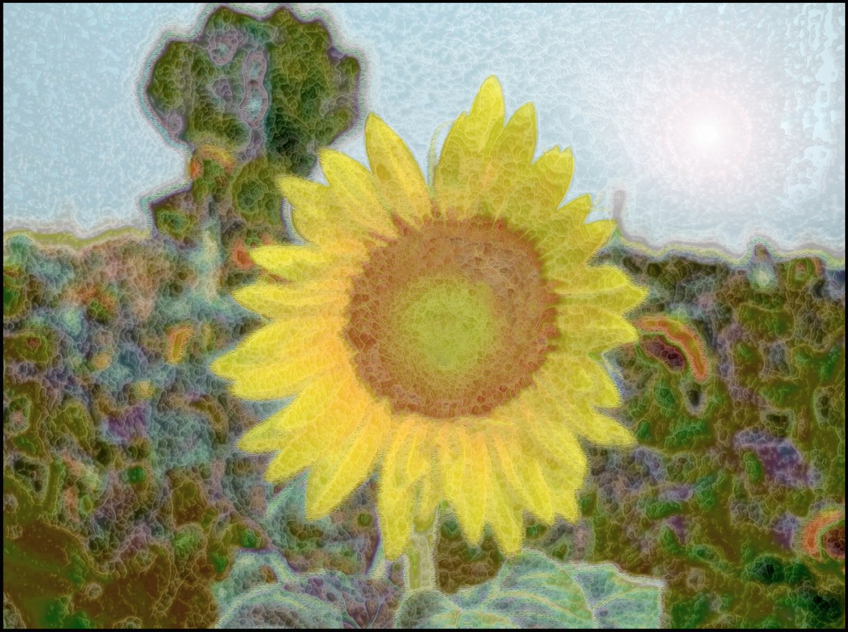 Sunflower a la Dumas