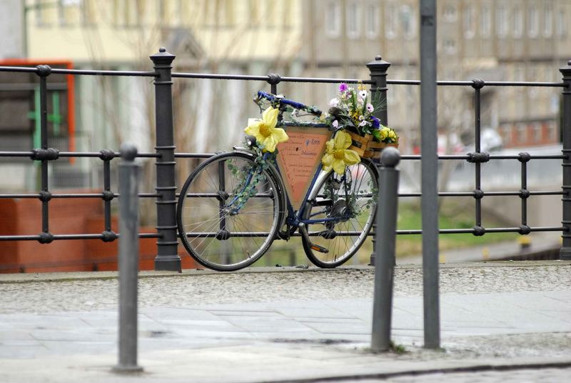 sunflower bycicle in a rainy day