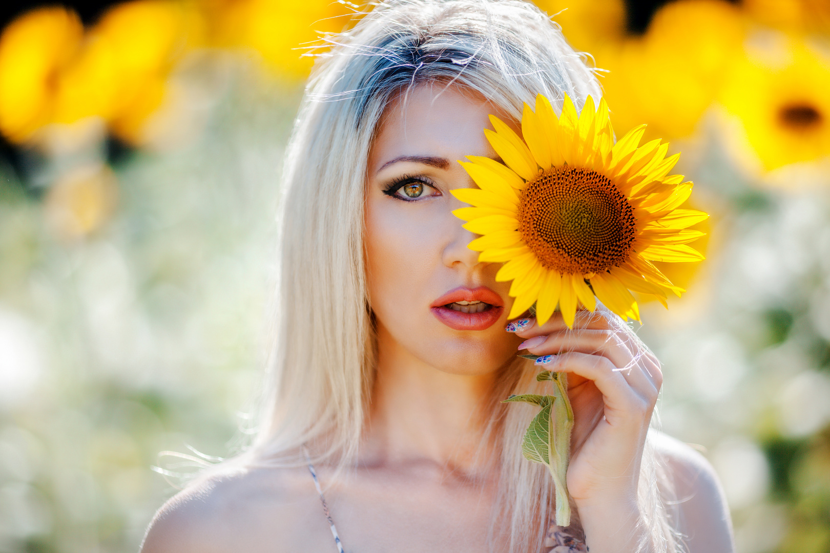 Sunflower