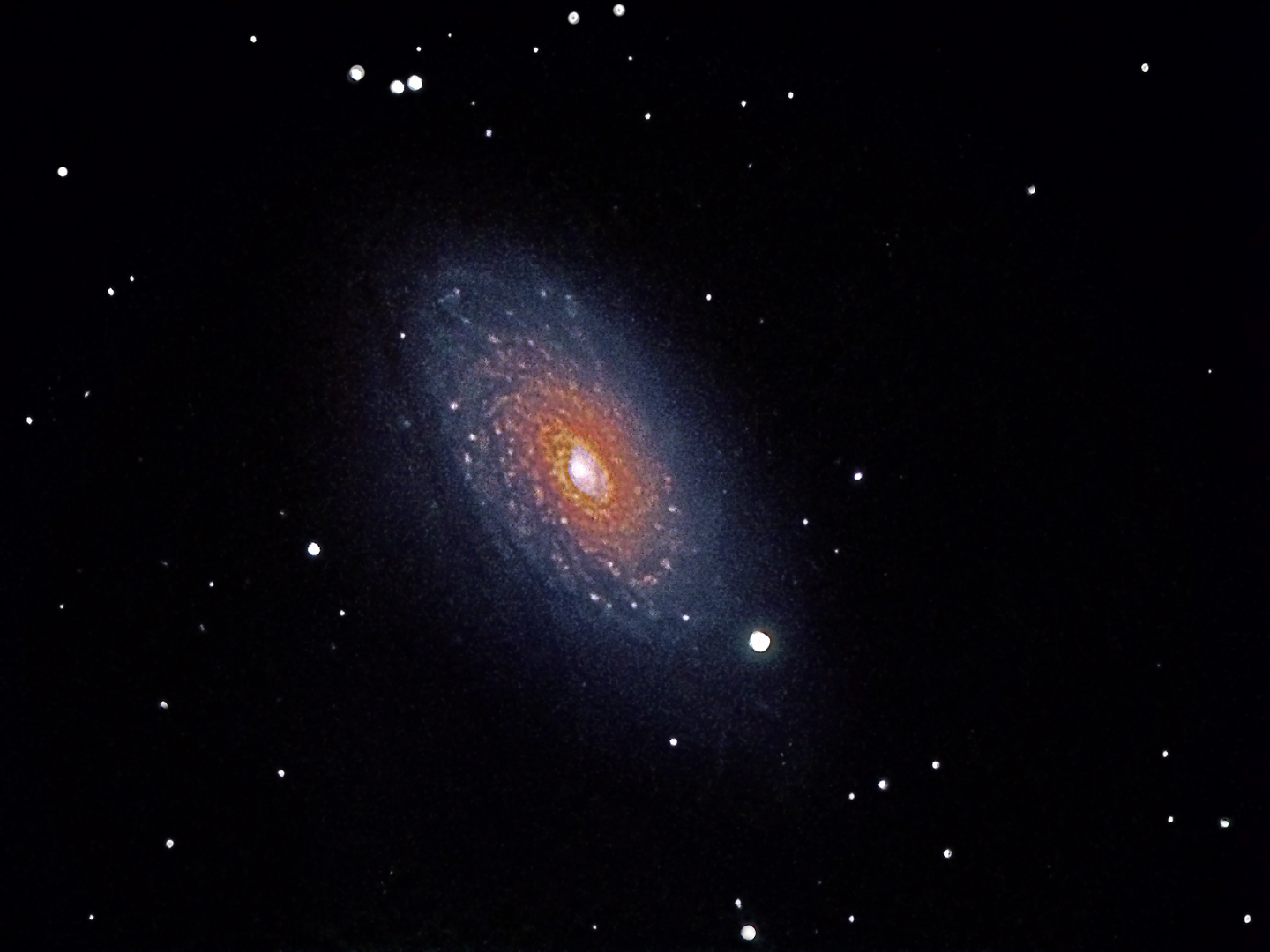 Sunflower Galaxy