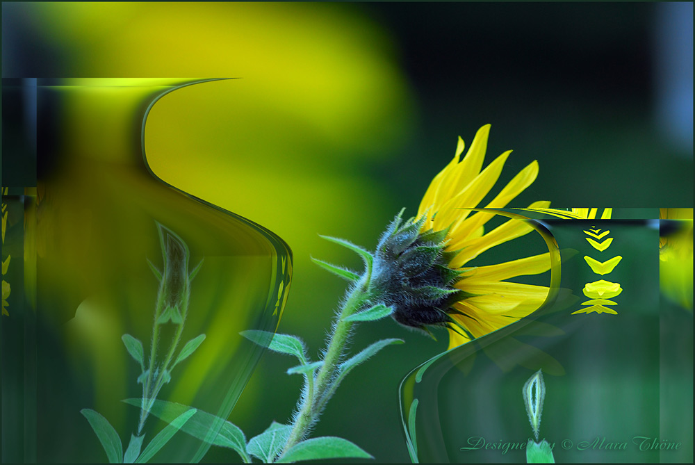 Sunflower meets Glass Art
