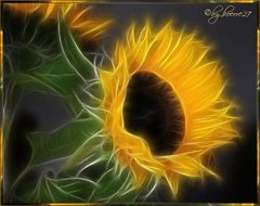 Sunflower - Spielerei 3