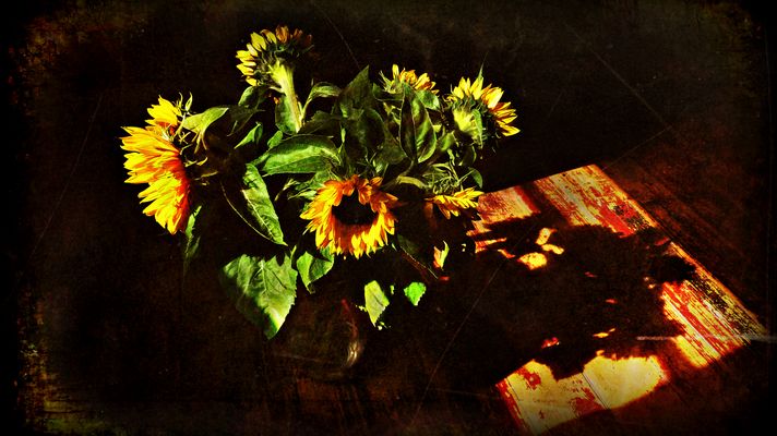 Sunflowers ...