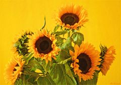 SUNFLOWERS