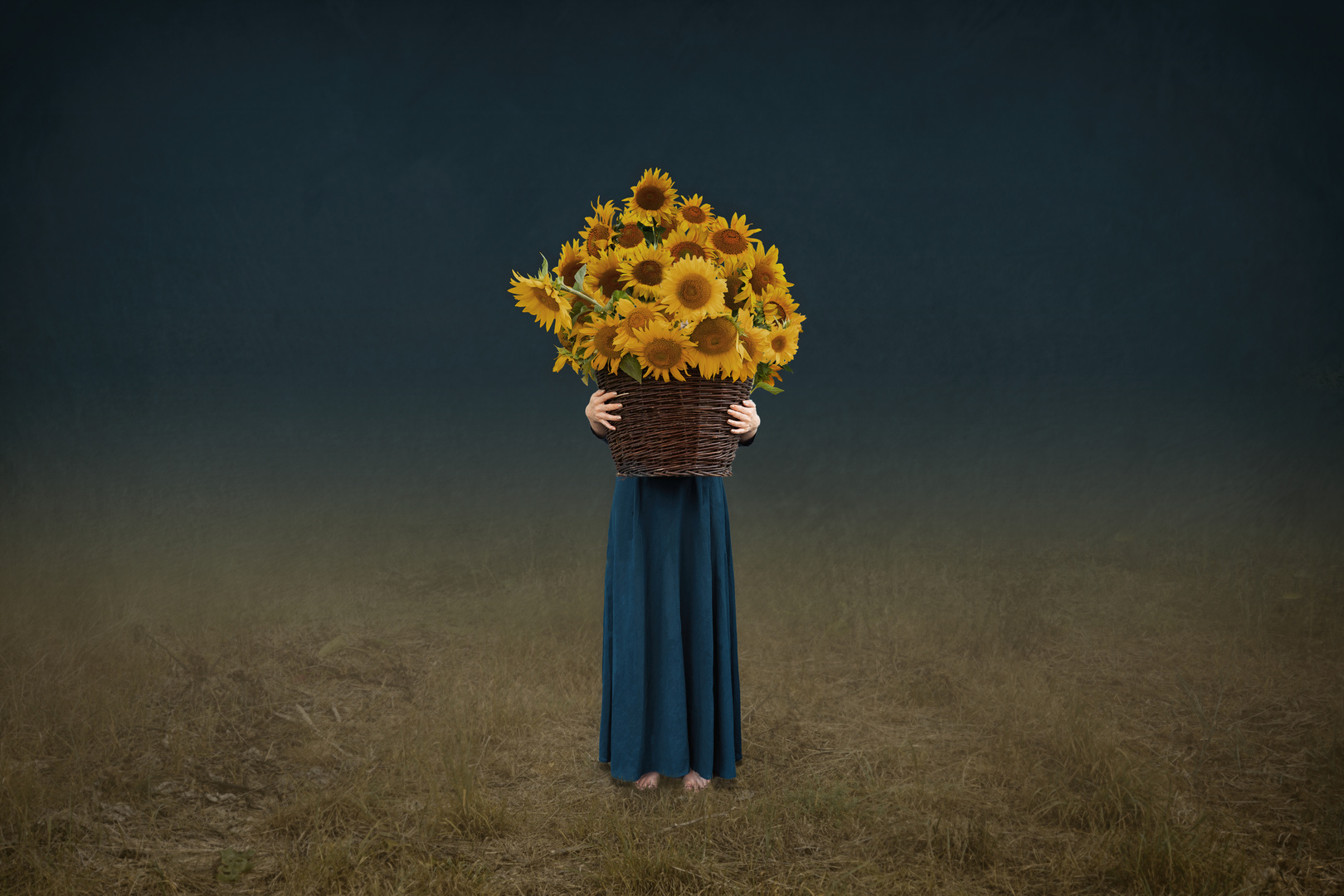 Sunflowers I