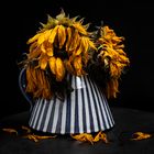 Sunflowers in a striped jug