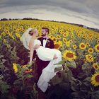 Sunflowers in Tuscany!