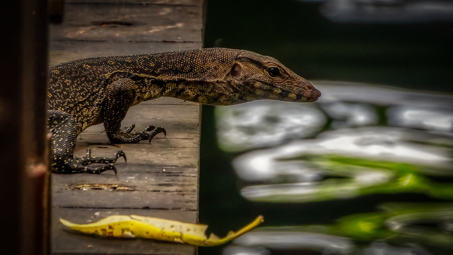 Sungei Buloh Wetland Reserve (LV)