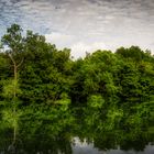 Sungei Buloh Wetland Reserve (XL)