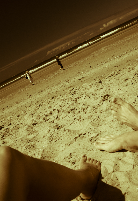 sunglasses on the beach