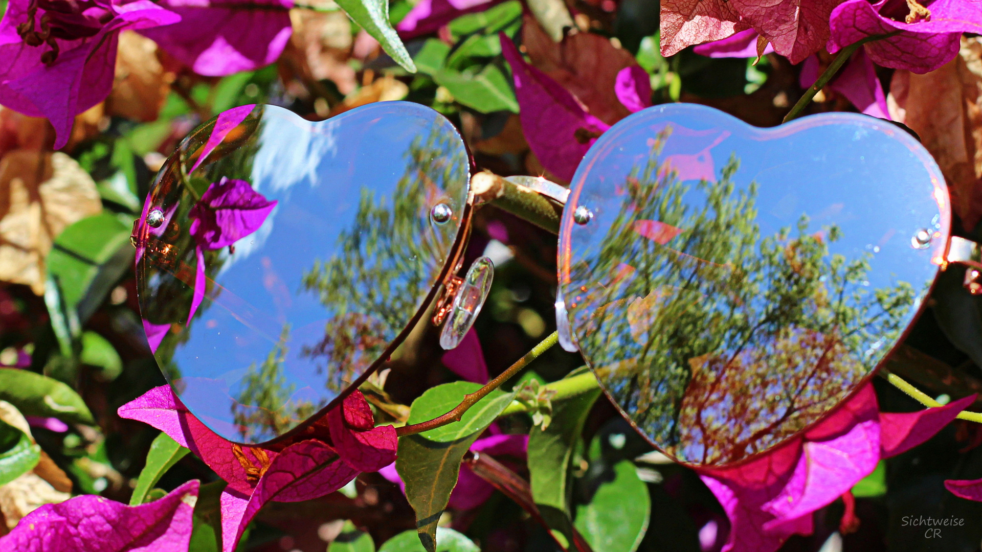 Sunglasses Reflection