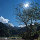 Sunlight by the Schwarzsee, Switzerland