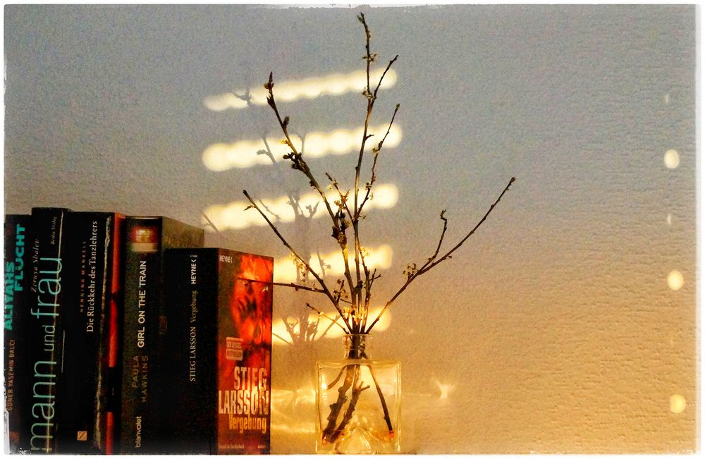 . Sunlight in my Home . 