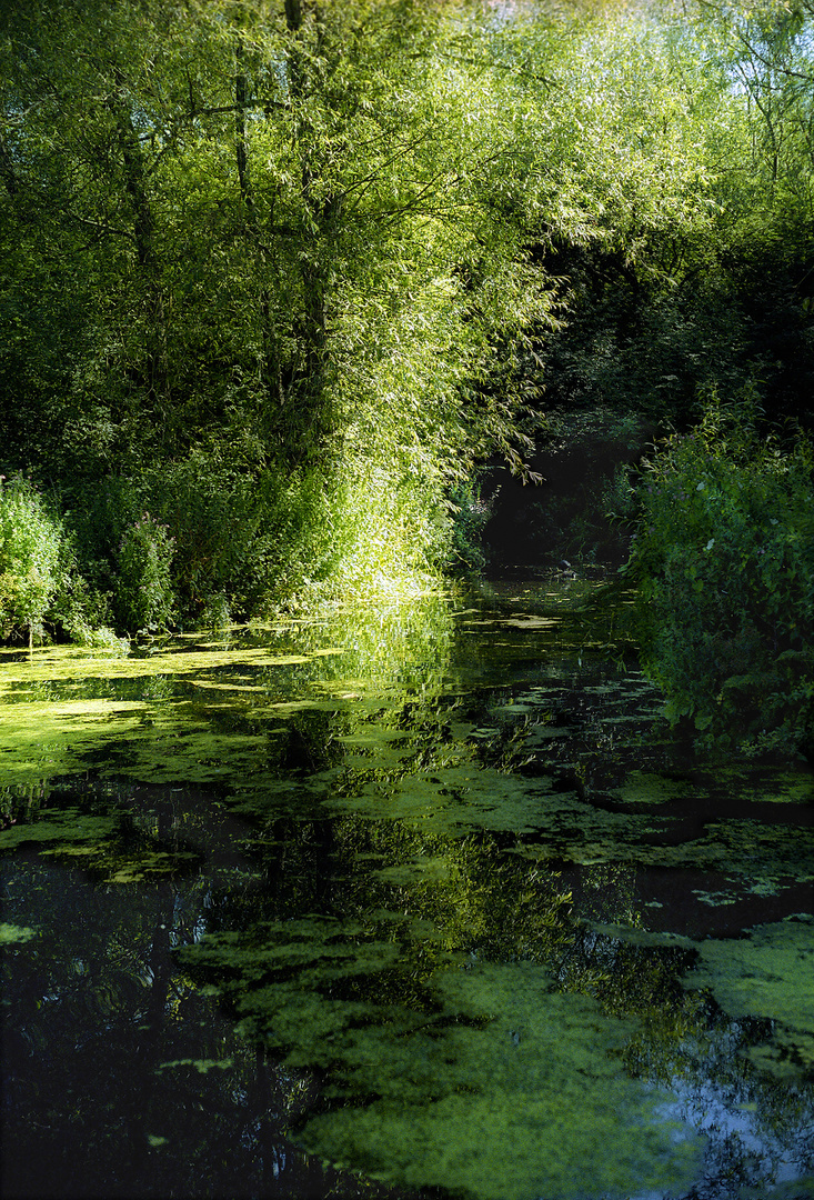 Sunlight in the canal basin