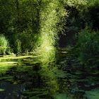 Sunlight in the canal basin