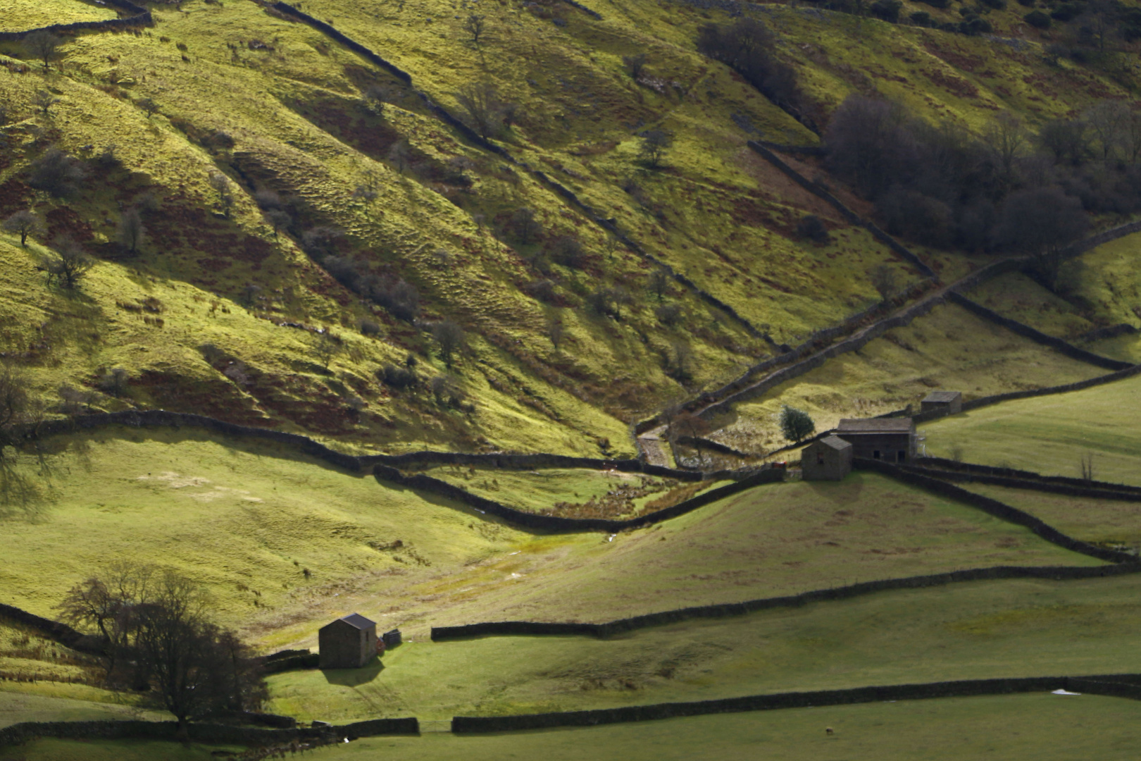 sunlight near muker