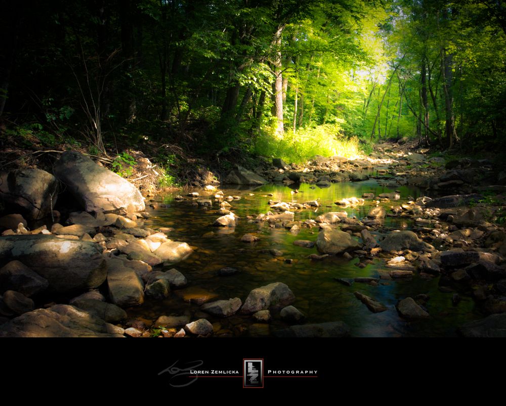 Sunlight on Otter Creek