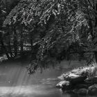 Sunlight on Stream Bed and Mist (1V, D610)