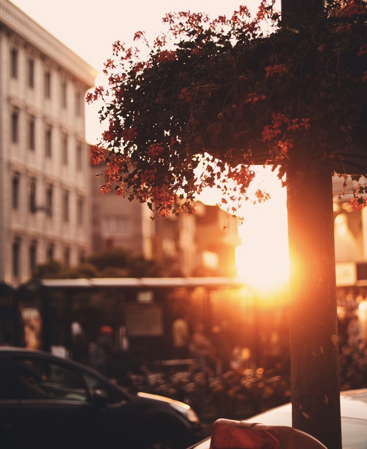 Sunlight through the streets