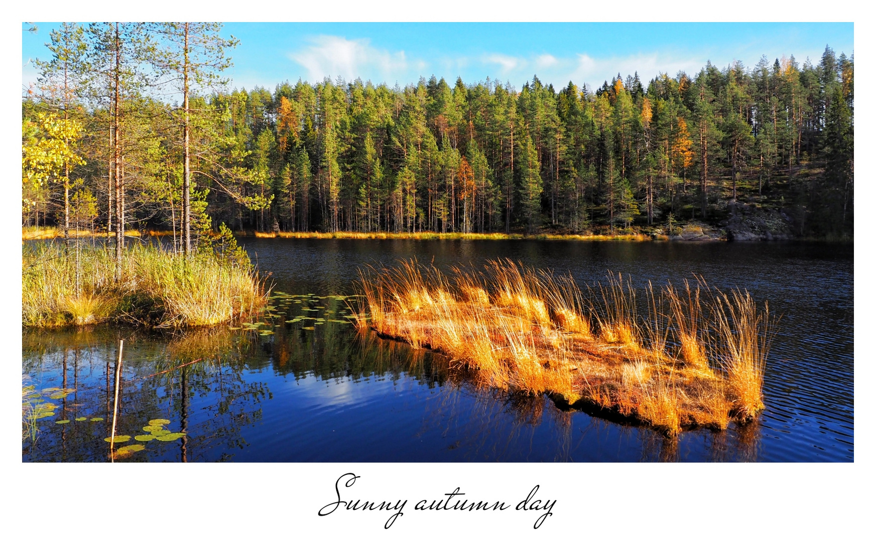 Sunny autumn day