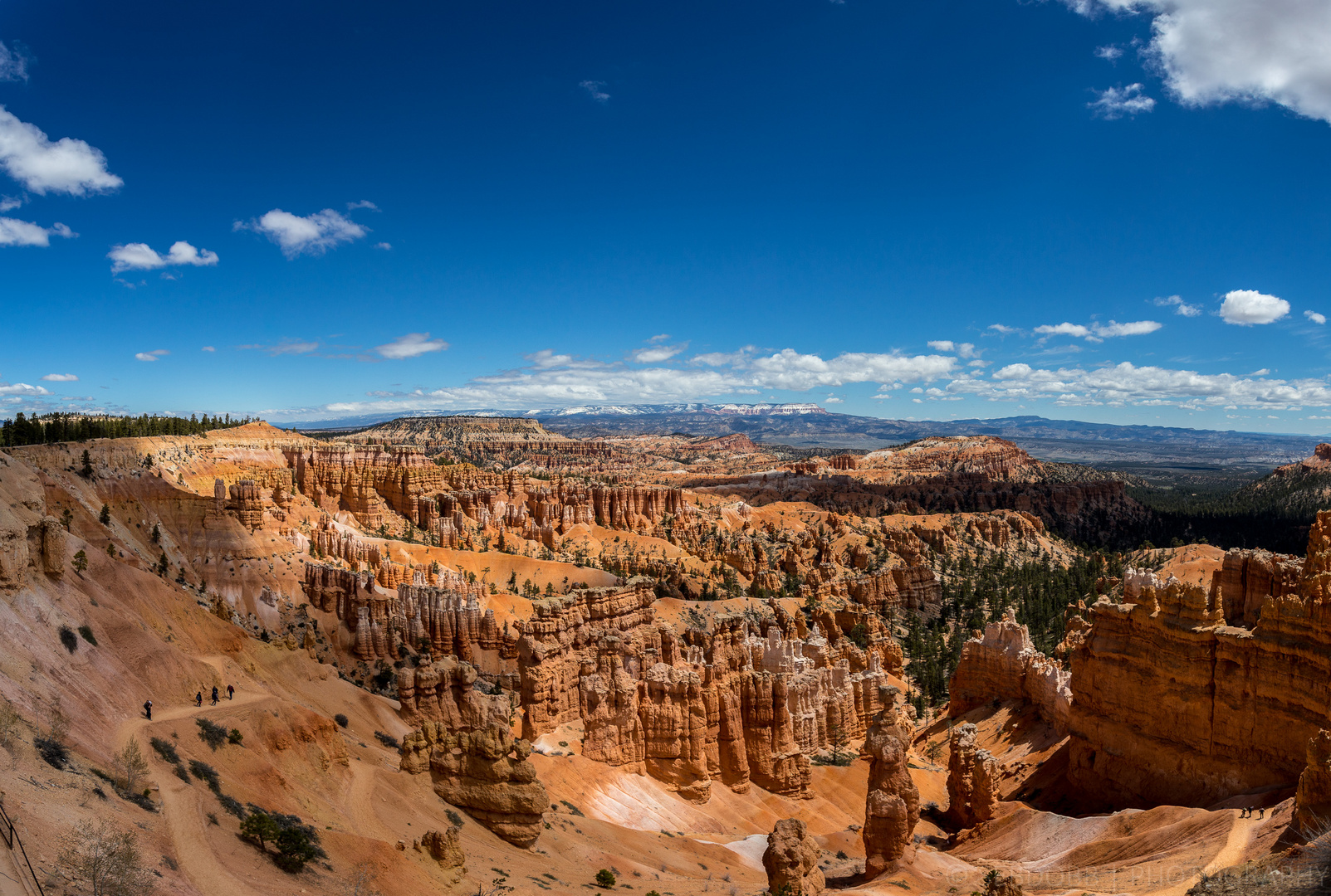 sunny bryce