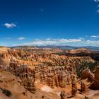 sunny bryce