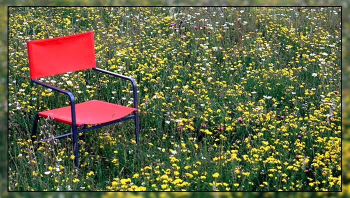 Sunny Chair...