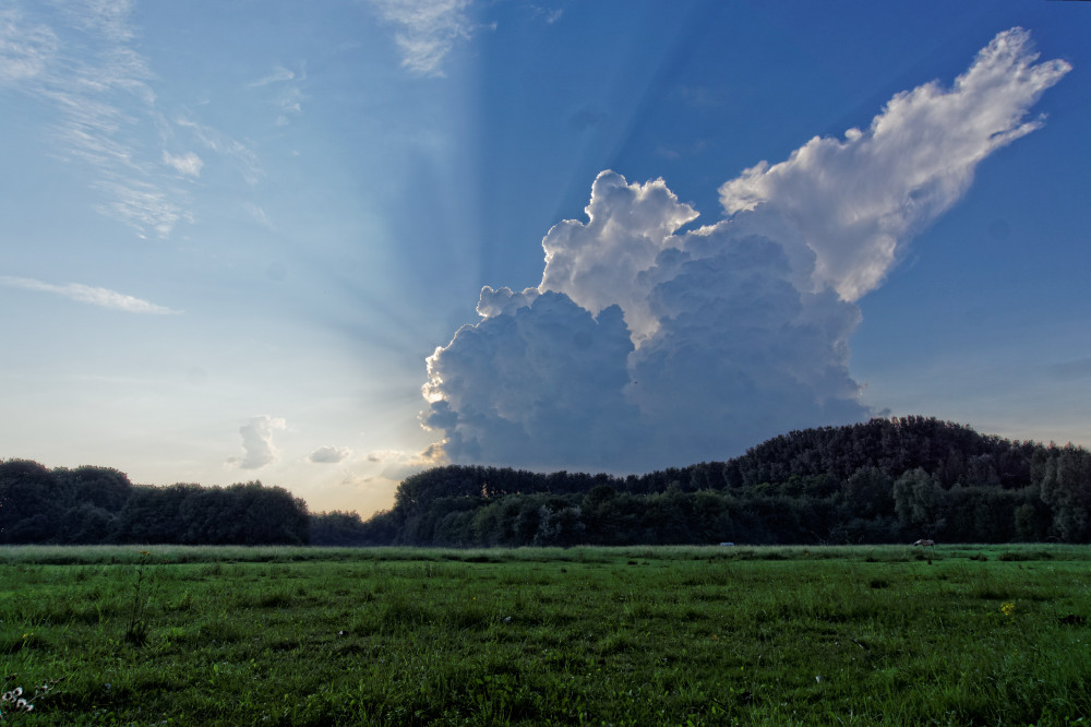 Sunny Cloud