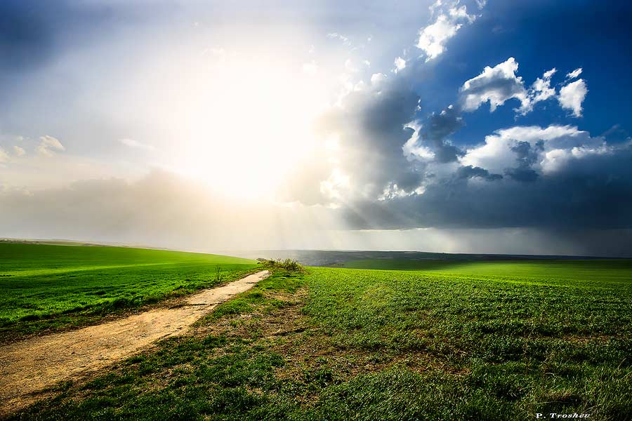 sunny clouds