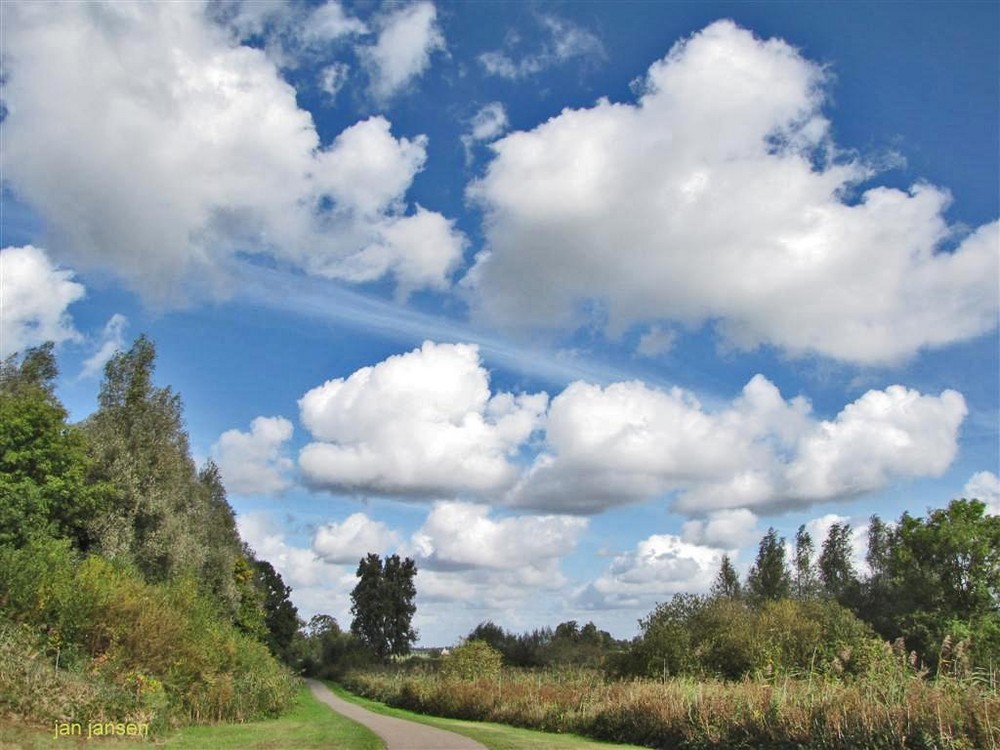 sunny, cloudy and windy