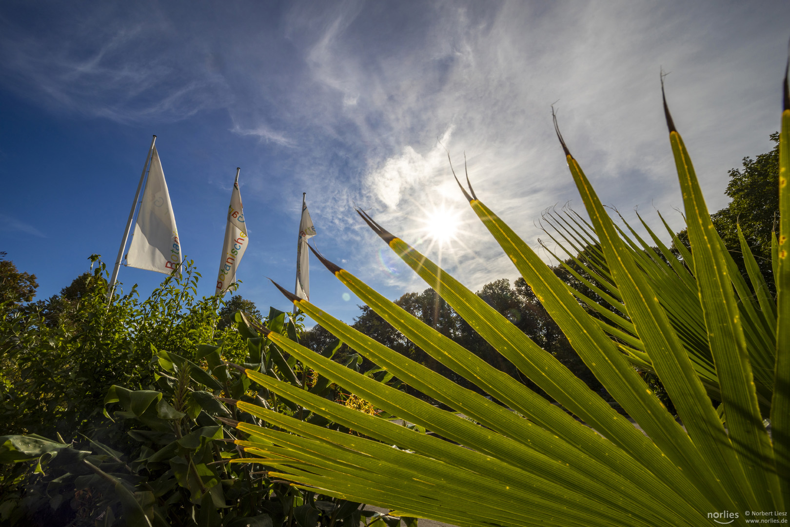 sunny day at the botanical garden