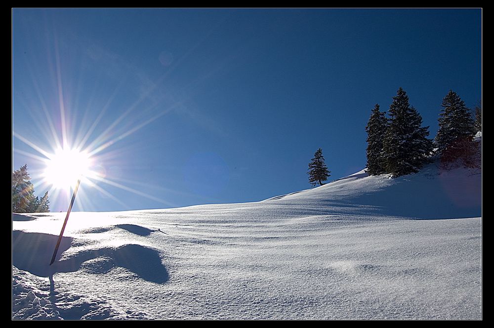 sunny day