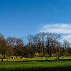 Sunny Day in Munich