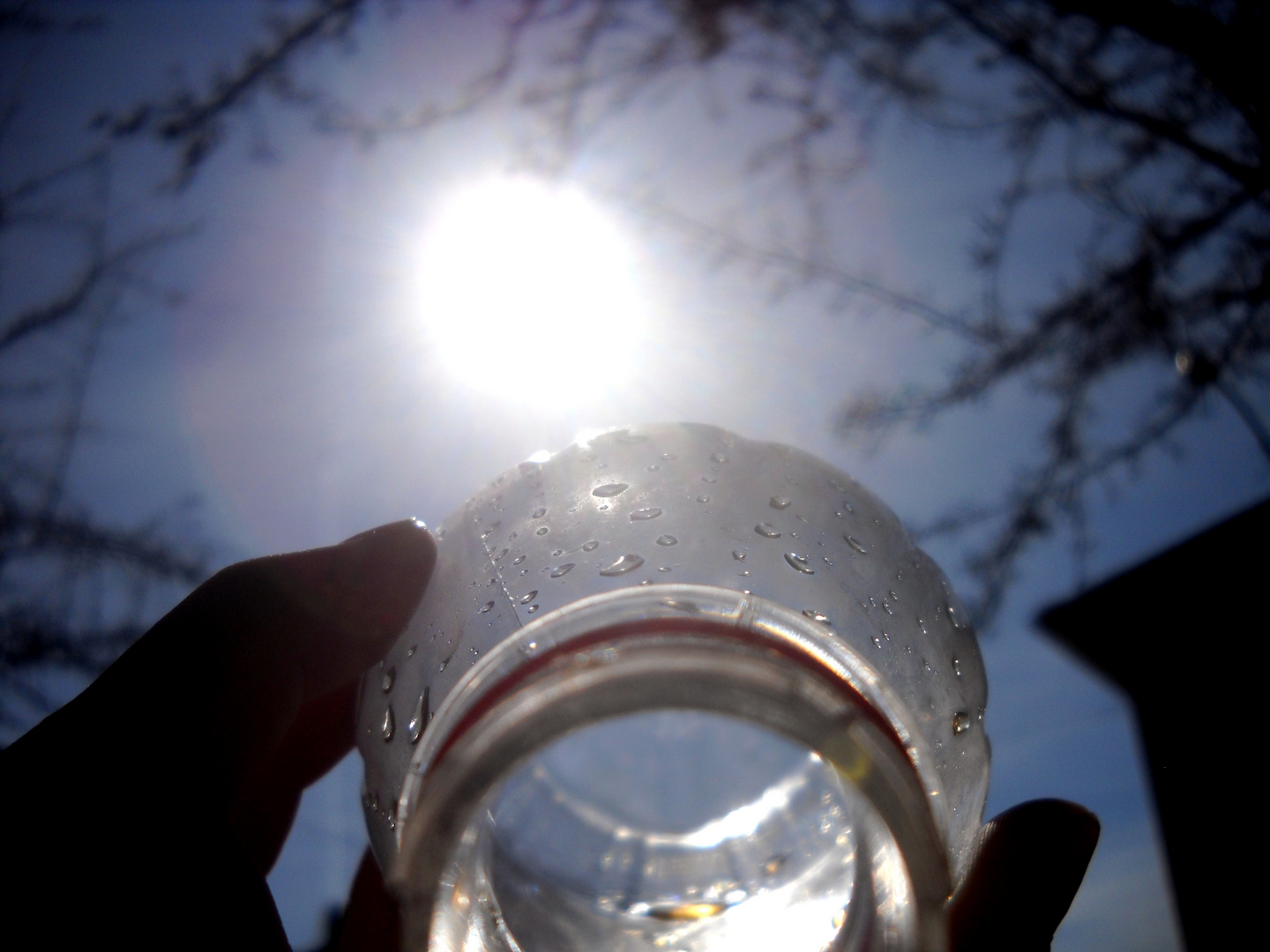 Sunny drink