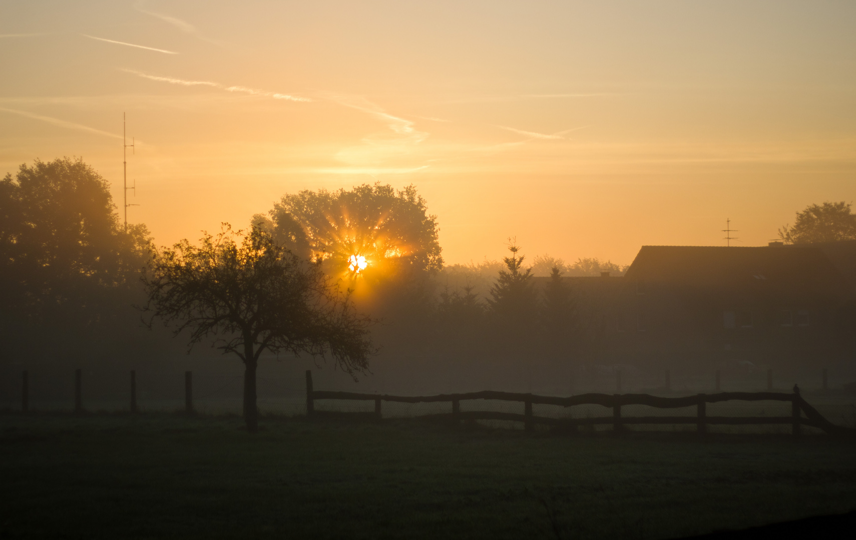 Sunny Dust