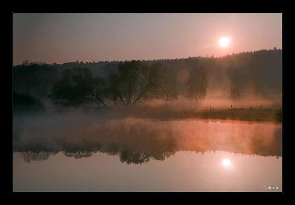 Sunny Fog