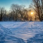 Sunny frozen morning