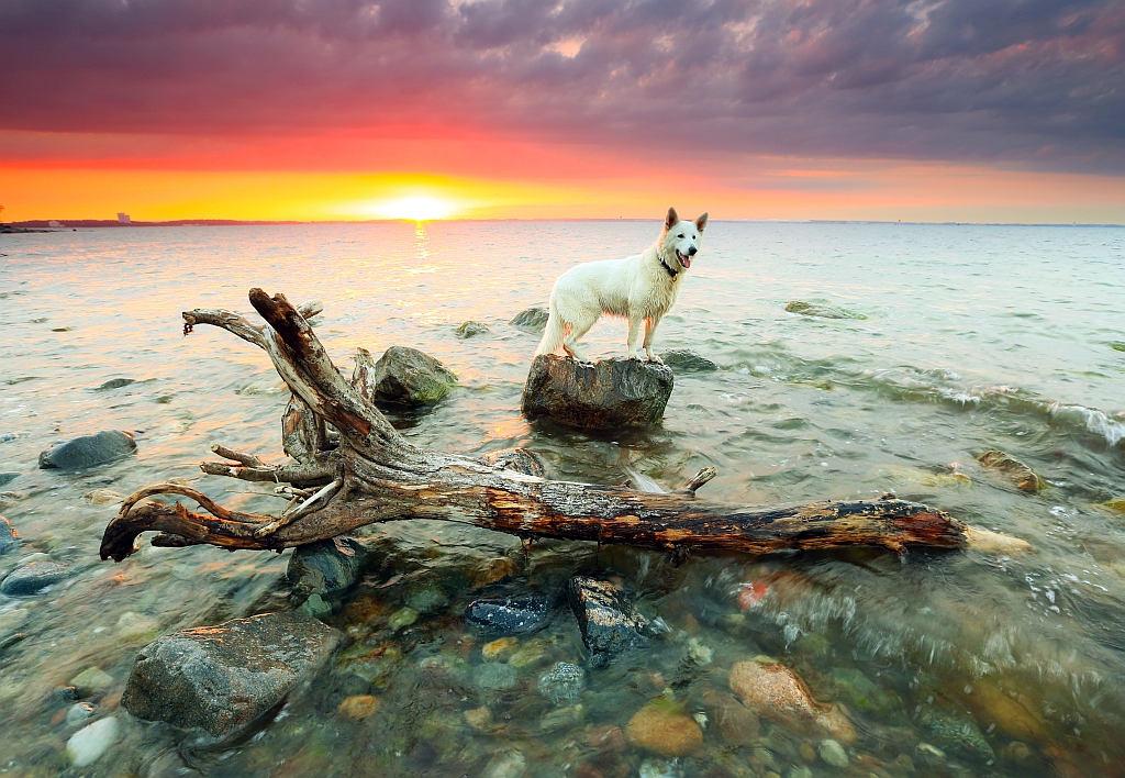 Sunny gestern an der Ostsee