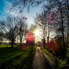 Sunny morning, 03.12.2015, Lüdinghausen, Germany