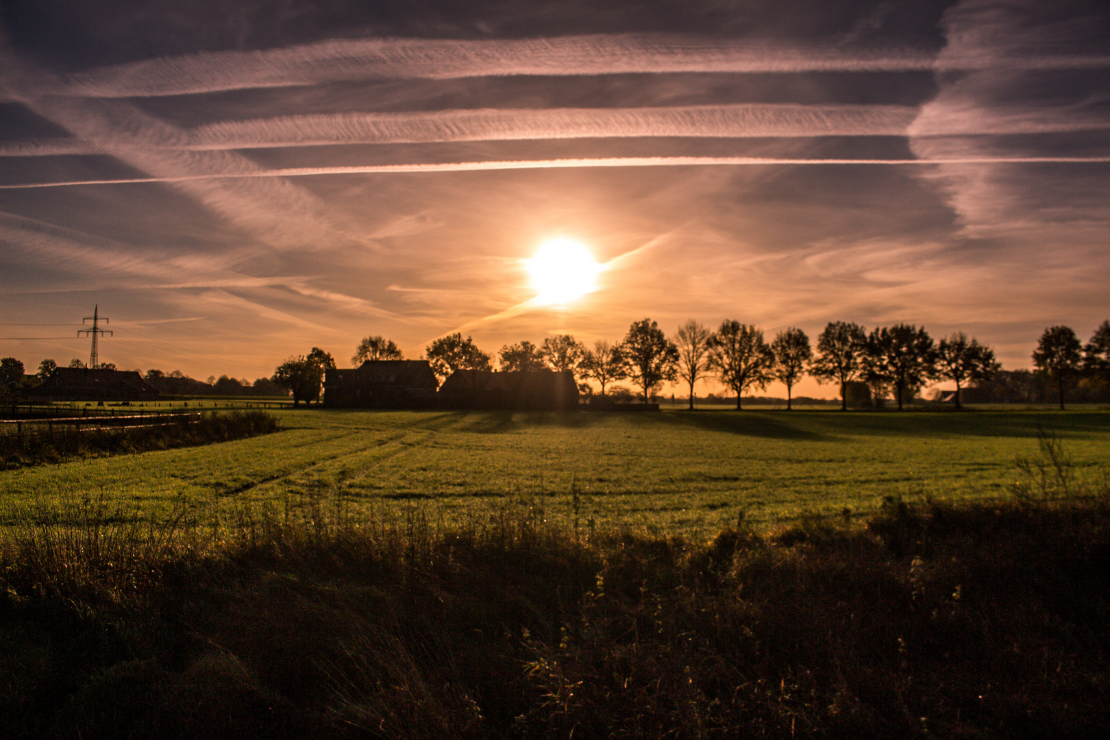 Sunny Morning