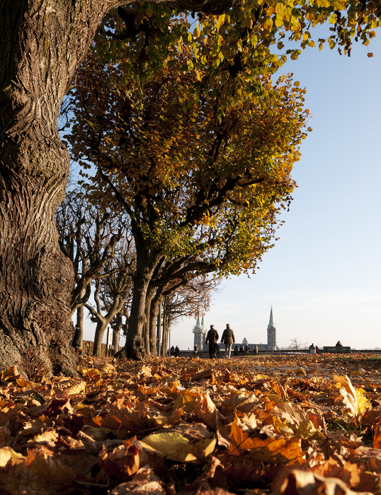 Sunny November