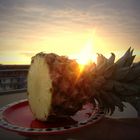 Sunny Pineapple