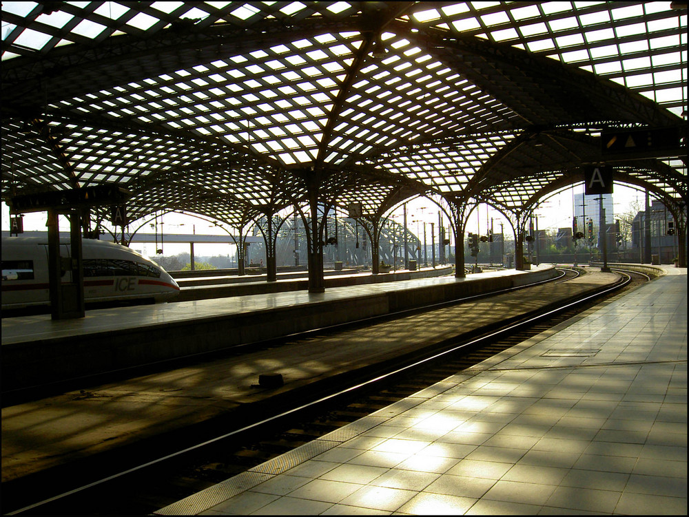 sunny roof