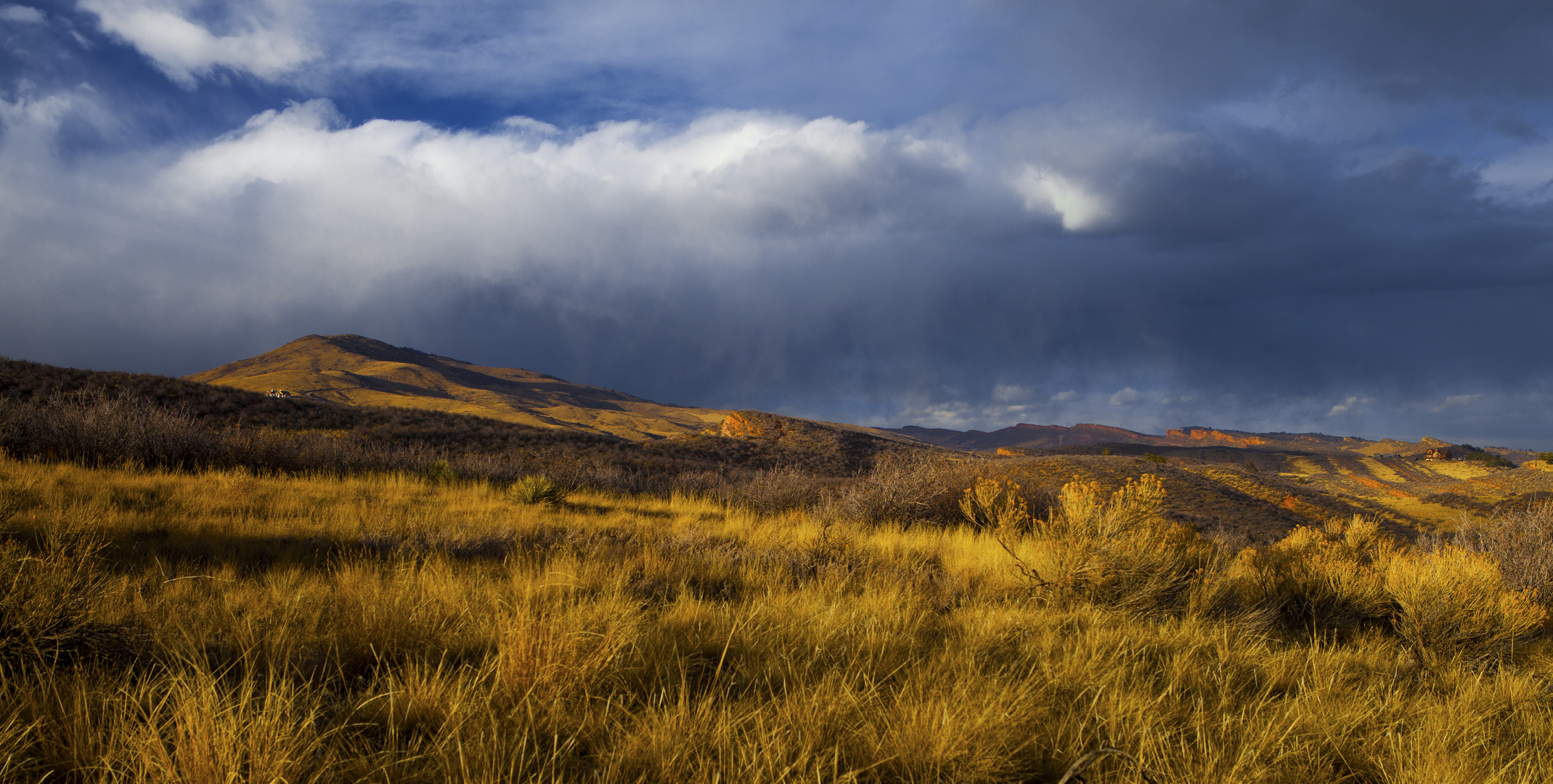 Sunny Storm