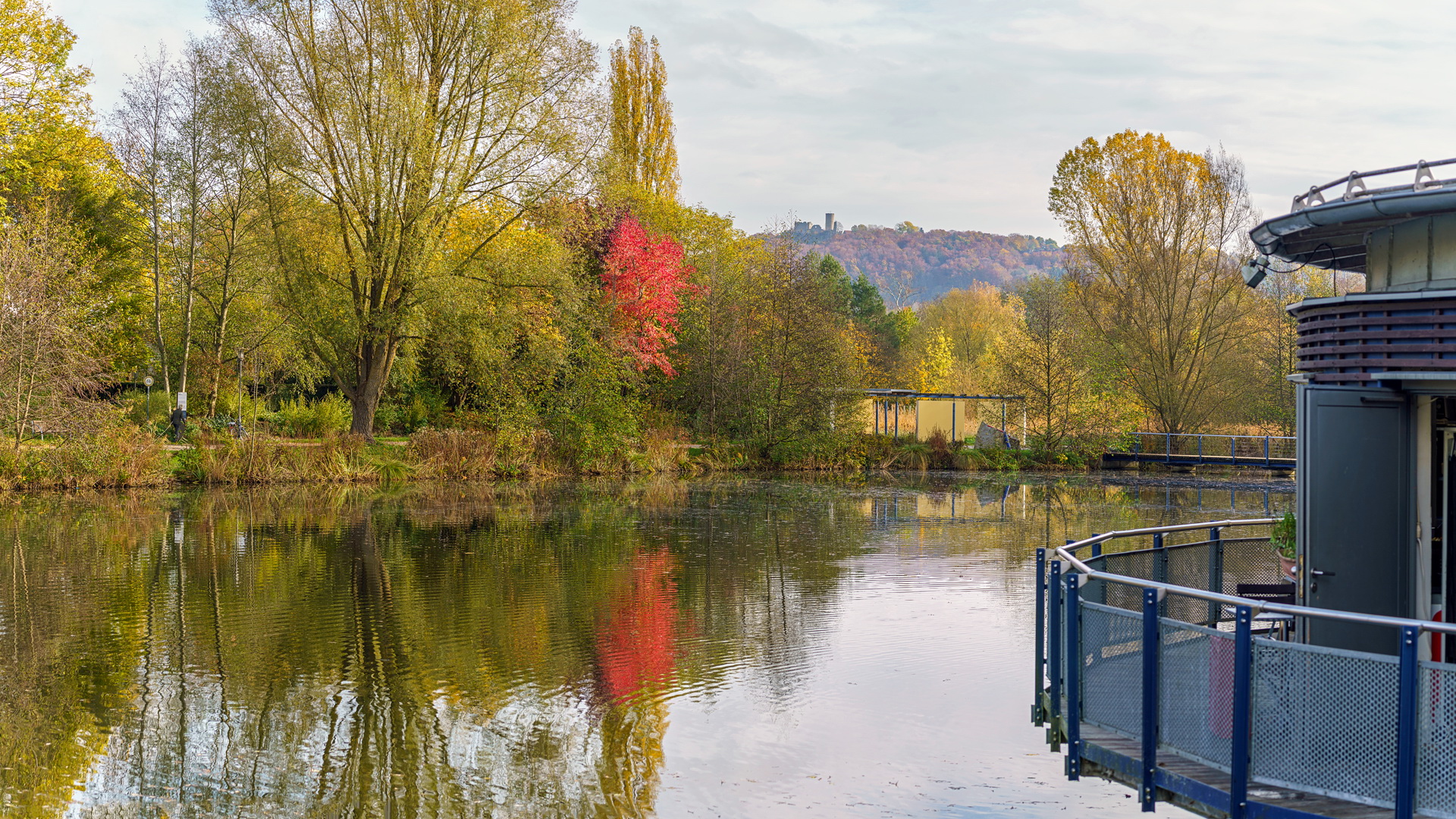 Sunny Sunday Foto & Bild spezial, natur, herbst Bilder auf