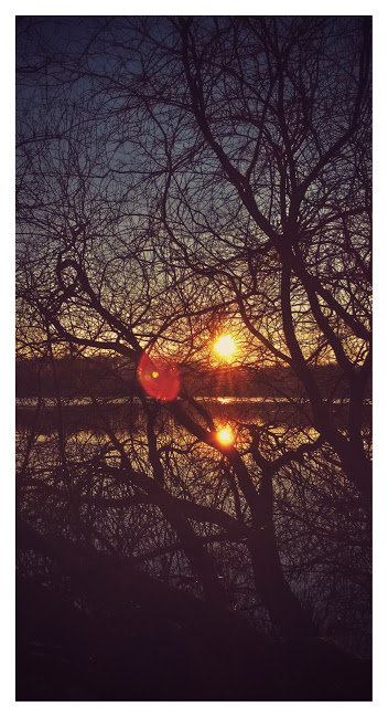 Sunny Tales - Reflections II on Bornhorster Lake - Oldenburger Land Februar 2015