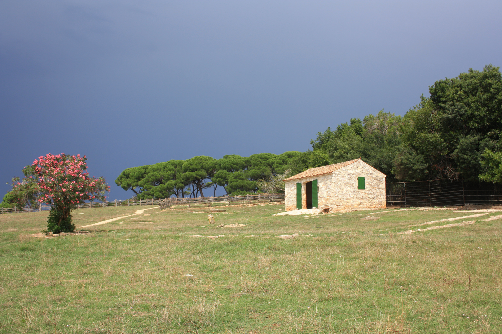 Sunny Thunderstorm