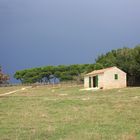 Sunny Thunderstorm