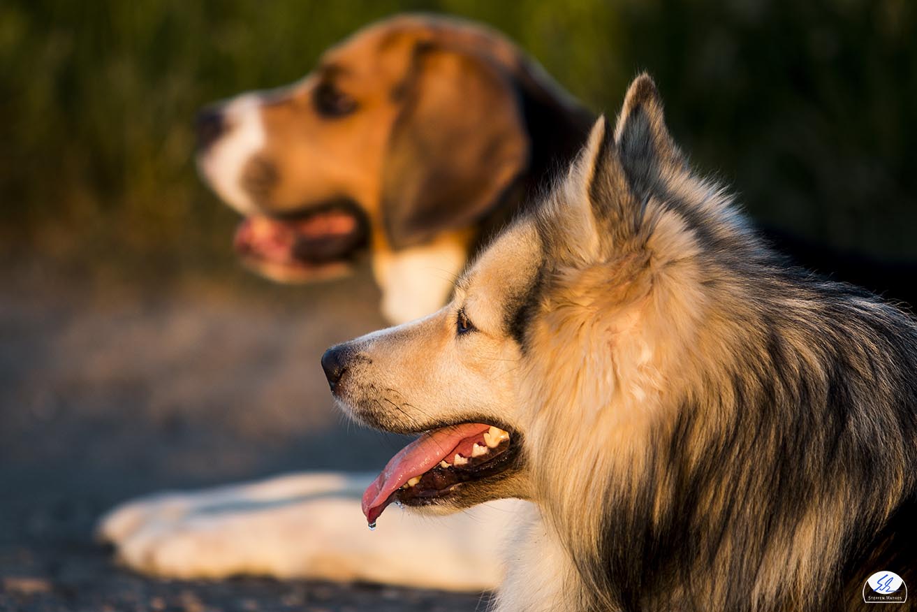 Sunny und Milow